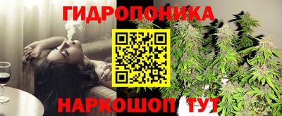 индика Старая Купавна